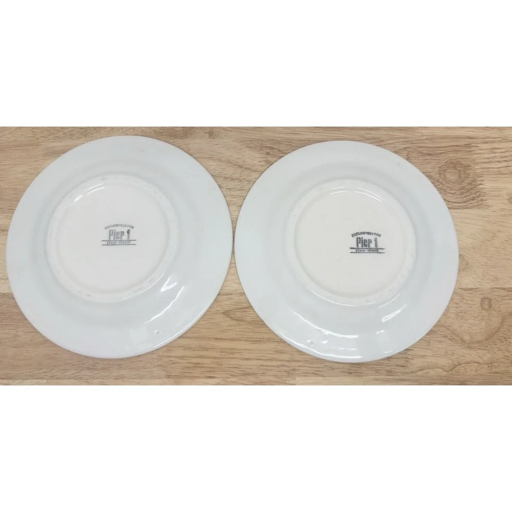 Lot of 2 EUC Pier One Dinner Plate 8